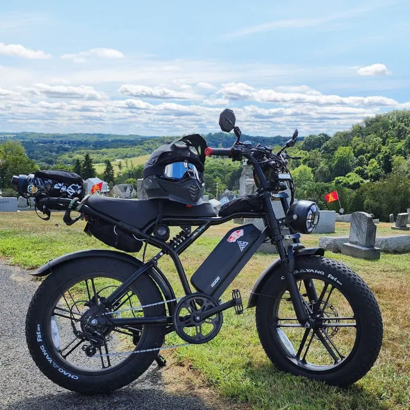 TST R002 — view 15