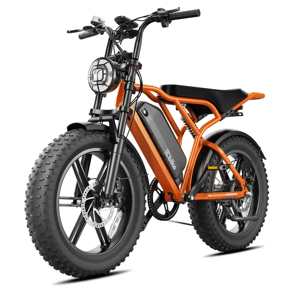 TST R002 in Forest